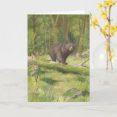 Carte Ours noir Adirondack 1902 (Fleur jaune)