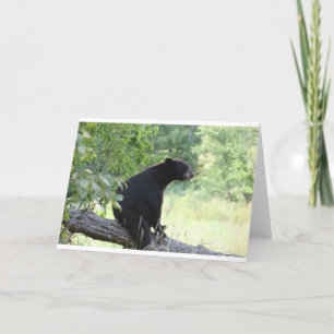 Carte ours noir assis dans l'arbre