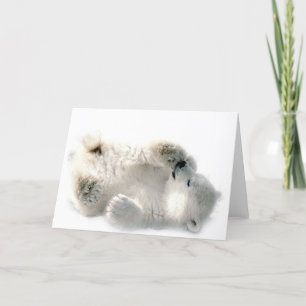 Carte Ours polaire Cube Animal Arctic Froid Hiver