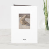 Carte Ours polaire dans la neige illustration gris brun  (Dos)