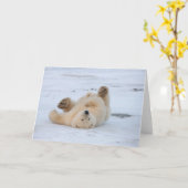 Carte ours polaire, Ursus maritimus, petit roulement 3 (Fleur jaune)