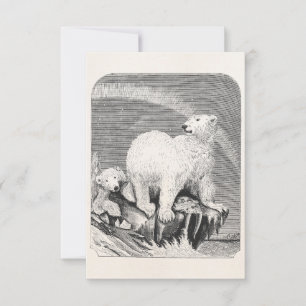 Carte Ours polaire vintage des années 1800 Ours arctique