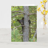 Carte Ourson grimpe à un arbre (Fleur jaune)