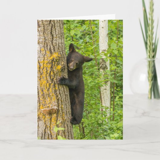 Carte Ourson noir | Minnesota (Devant)