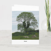 Carte Outside Doolin, Ireland (Dos)