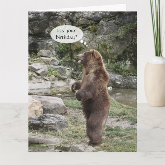Carte Ovation debout d'ours gris GRANDE (Devant)