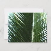 Carte Overlapping Palm Fronds Tropical Green Abstract (Devant)