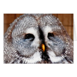 CARTE OWL