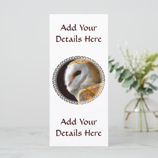 CARTE OWL (Debout devant)