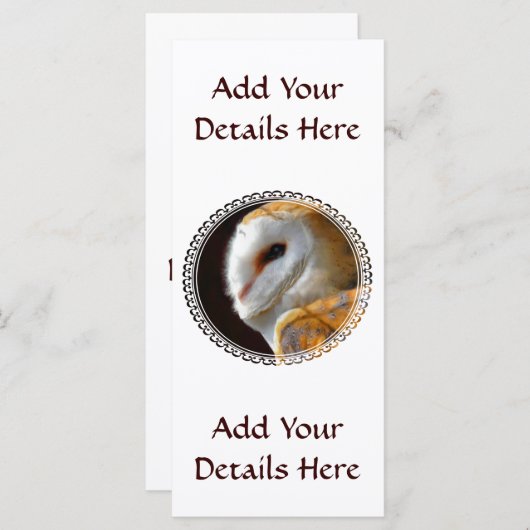 CARTE OWL (Devant / Derrière)