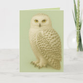 Carte "Owl be missing you" card. (Devant)