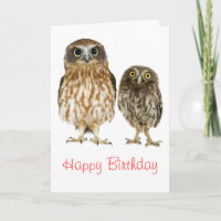 Owl Duo Anniversaire