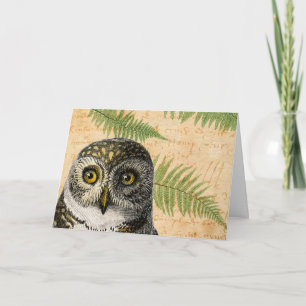 Carte Owl et Ferns Toutes les occasions
