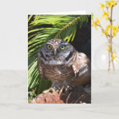 Carte Owl greeting card (Fleur jaune)