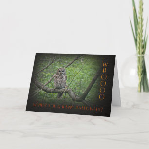 Carte Owl Halloween Whoo Vous Souhaite