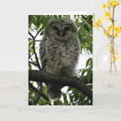 Carte Owl Luv (Fleur jaune)
