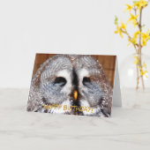 CARTE OWLS (Fleur jaune)