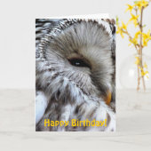 CARTE OWLS (Fleur jaune)