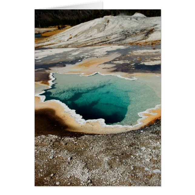 Carte #P4078 (Devant)