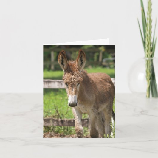 CARTE P6038047 (Devant)