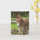 CARTE P6038047 (Fleur jaune)