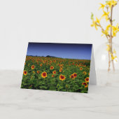 CARTE P7300068 (Fleur jaune)