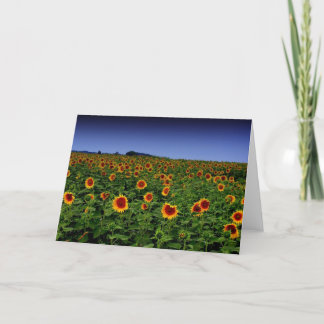 CARTE P7300068