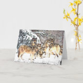 Carte Pack Wolf-BDD (Fleur jaune)