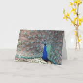 Carte Pacock (Fleur jaune)
