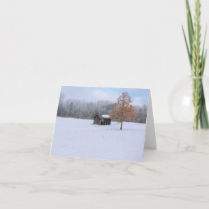 Carte Paddock couvert de neige