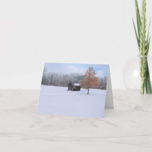 Carte Paddock couvert de neige (Devant)