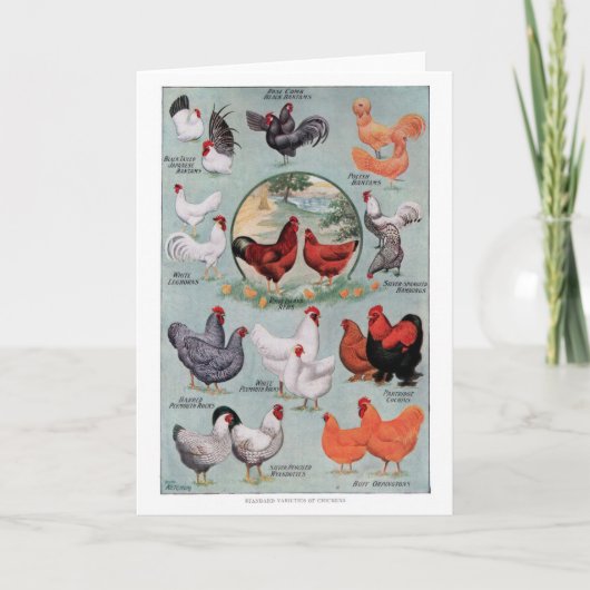 Carte Page Livre Vintage de poulets (Devant)