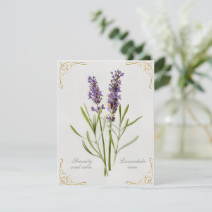 Carte Painted Lavandula Vera Serenity et Calm