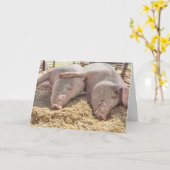 Carte Paire Anniversaire De Chiens En Stylo (Fleur jaune)