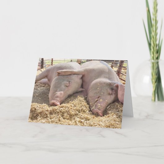 Carte Paire Anniversaire De Chiens En Stylo (Devant)