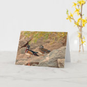 Carte Paire de canard à bois (Fleur jaune)