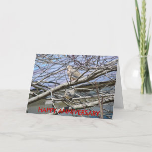 Carte Paire De Dove Entre Les Branches, BON ANNIVERSAIRE