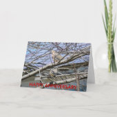 Carte Paire De Dove Entre Les Branches, BON ANNIVERSAIRE (Devant)