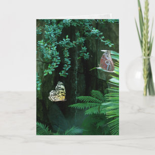 Carte Paire de papillons dans le jardin tropical sympath