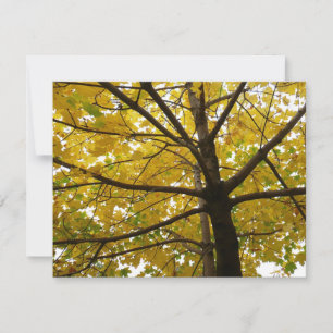 Carte Paire d'érables jaunes Automne Nature