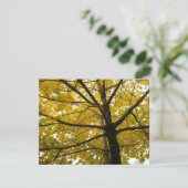 Carte Paire d'érables jaunes Nature d'automne (Debout devant)