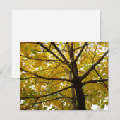 Carte Paire d'érables jaunes Nature d'automne (Devant / Derrière)