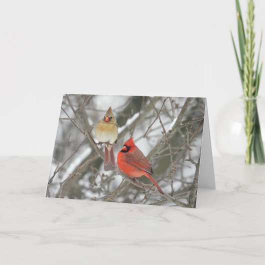 Carte Paires de cardinaux du nord (Devant)