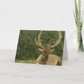 Carte paisible de vacances de salutations de (Dos)