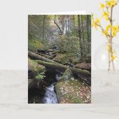 Carte Paix (Fleur jaune)