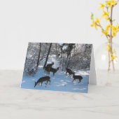 Carte Paix à Noël (Fleur jaune)