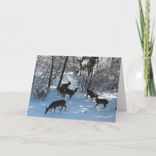 Carte Paix à Noël (Devant)