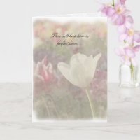 Paix dans la tempête