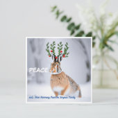 Carte Paix dans le monde : Holly Crown Hare Peace Love (Debout devant)