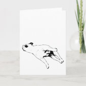 Carte Paix & Pattes (Devant)